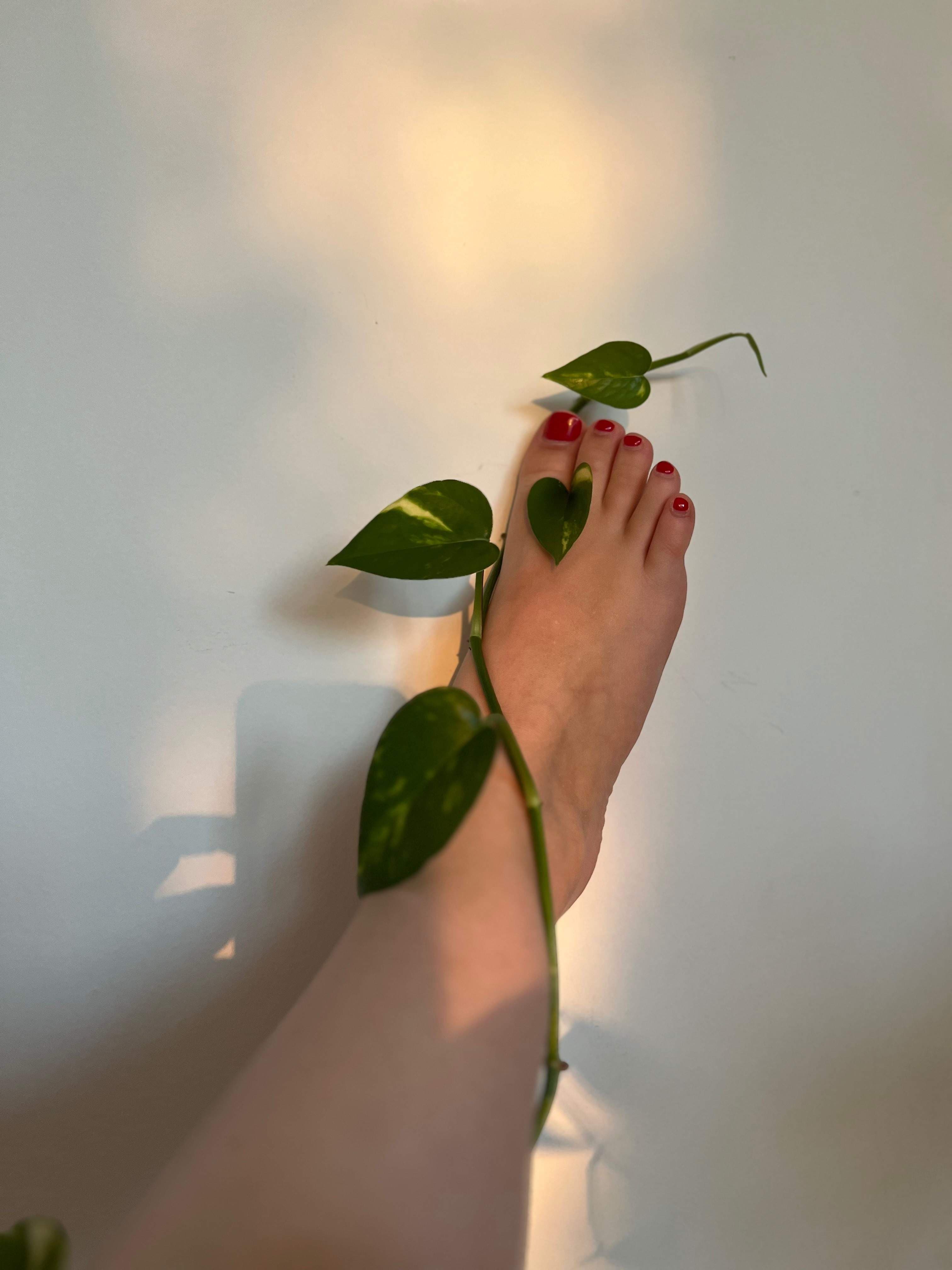 PrettyFeet