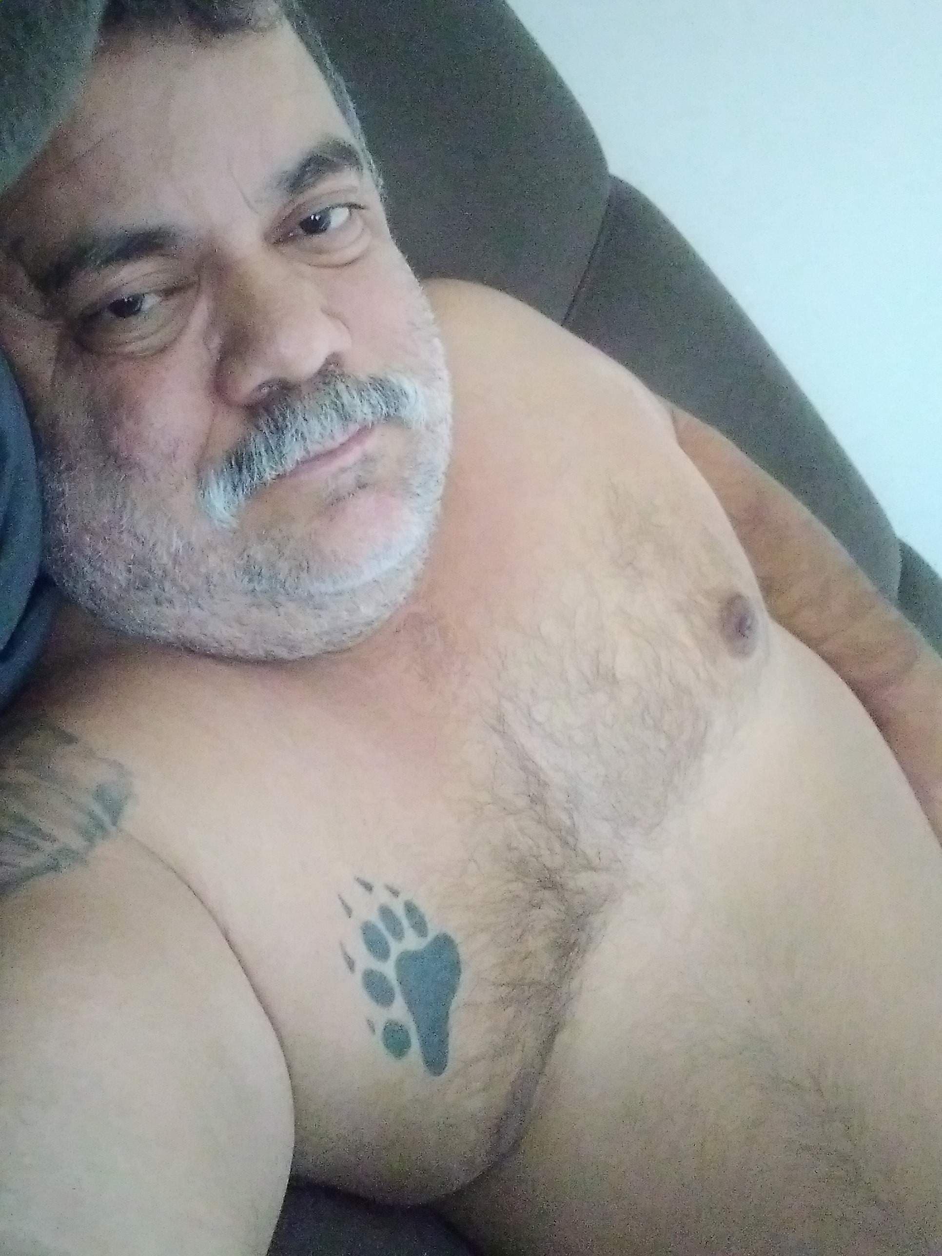 Urso🏳️‍🌈🇧🇷🐻