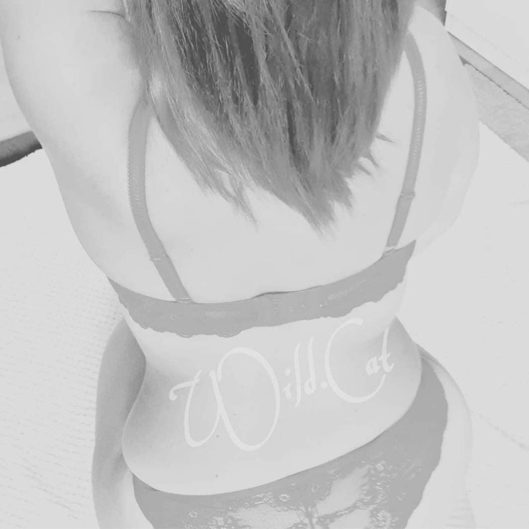 ❤️‍🔥 𝑾𝒊𝒍𝒅𝑪𝒂𝒕 𝑭𝒓𝒆𝒆 🍀