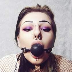 J 🦇