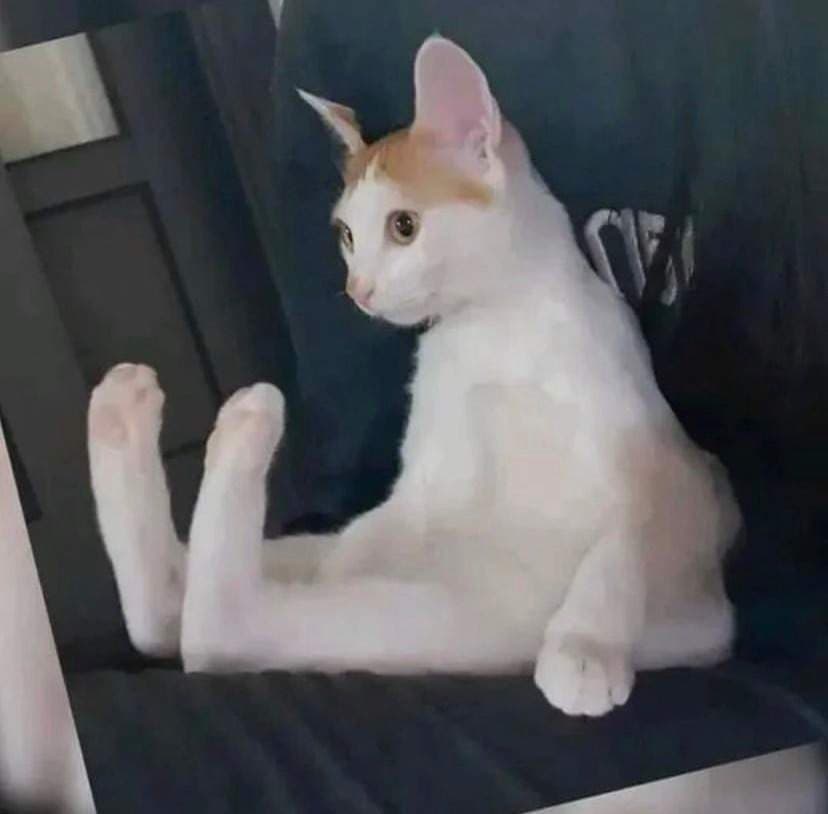 Obi