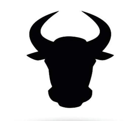 dfwbull