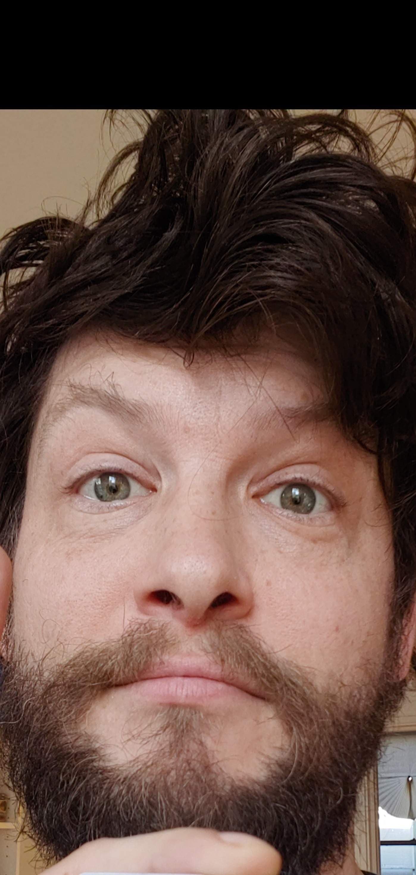 brucedickhamster19