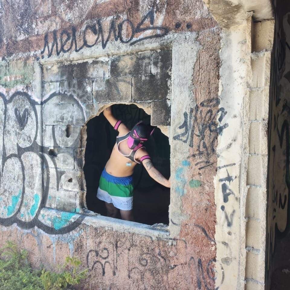DRANHOURUS BETA