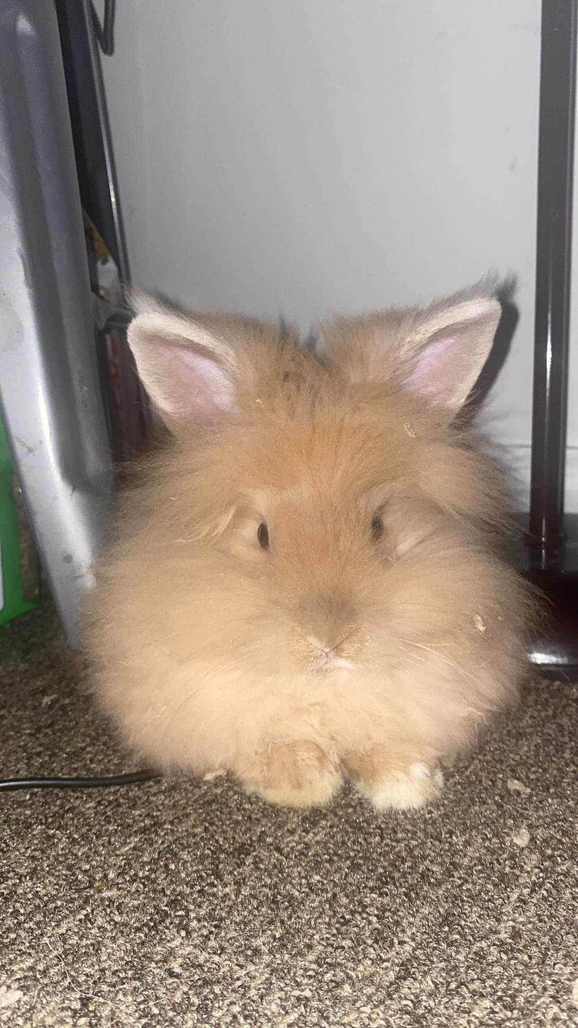 Asia 💓