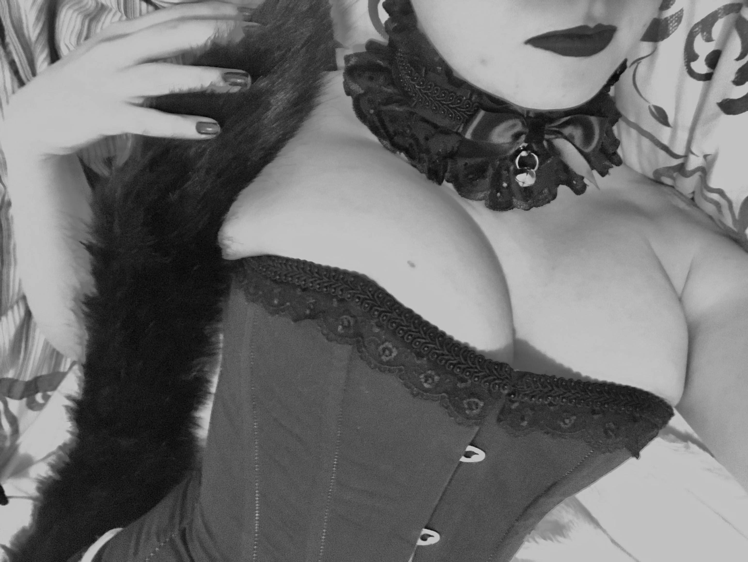 Crystal The Kinky Kitten