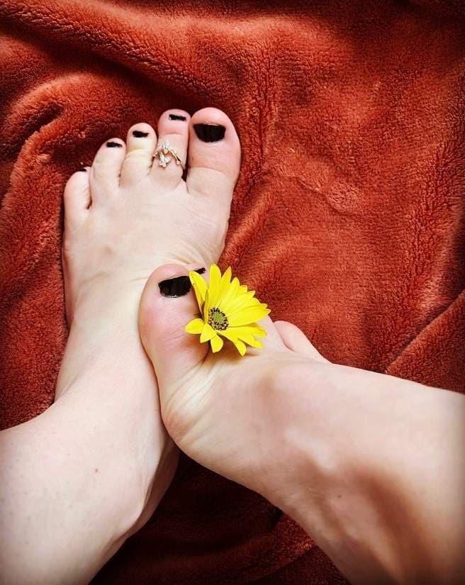Daisy Summer