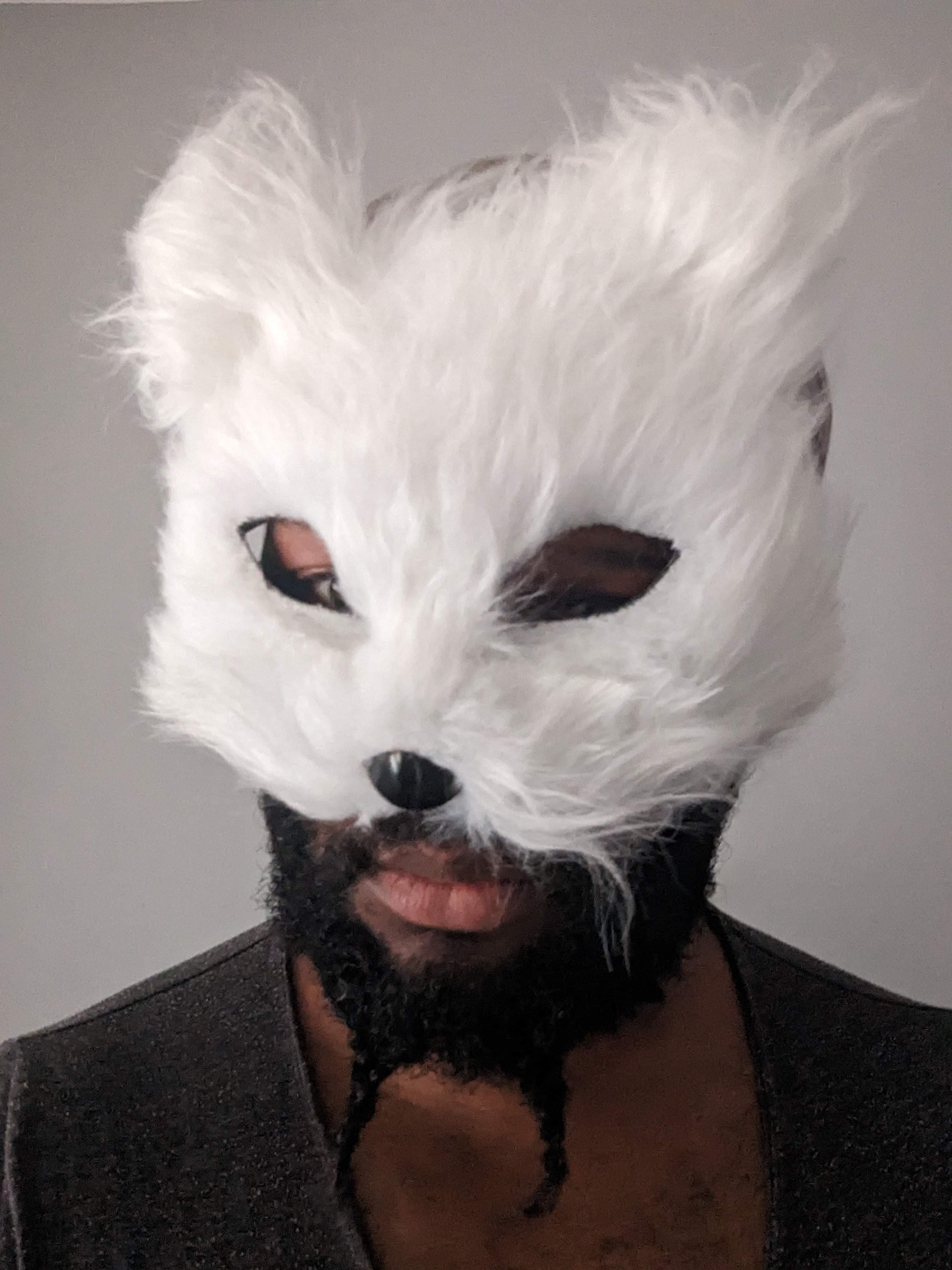 Silver Fuchs