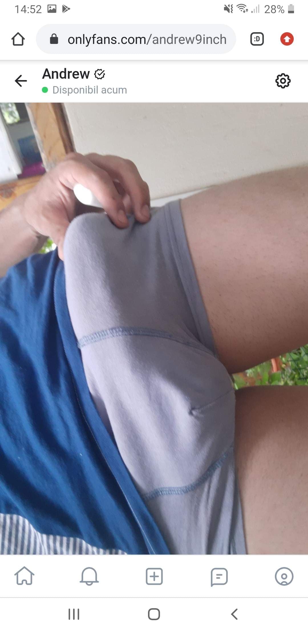 Andrew 9 inch