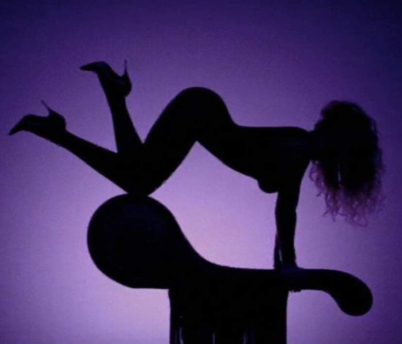 LoveLust Lingerie &amp; Exotic Dancewear