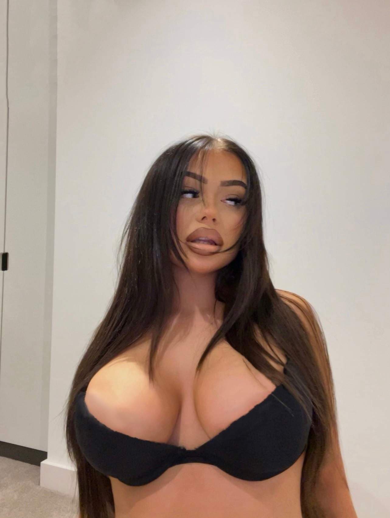 Hollydolly