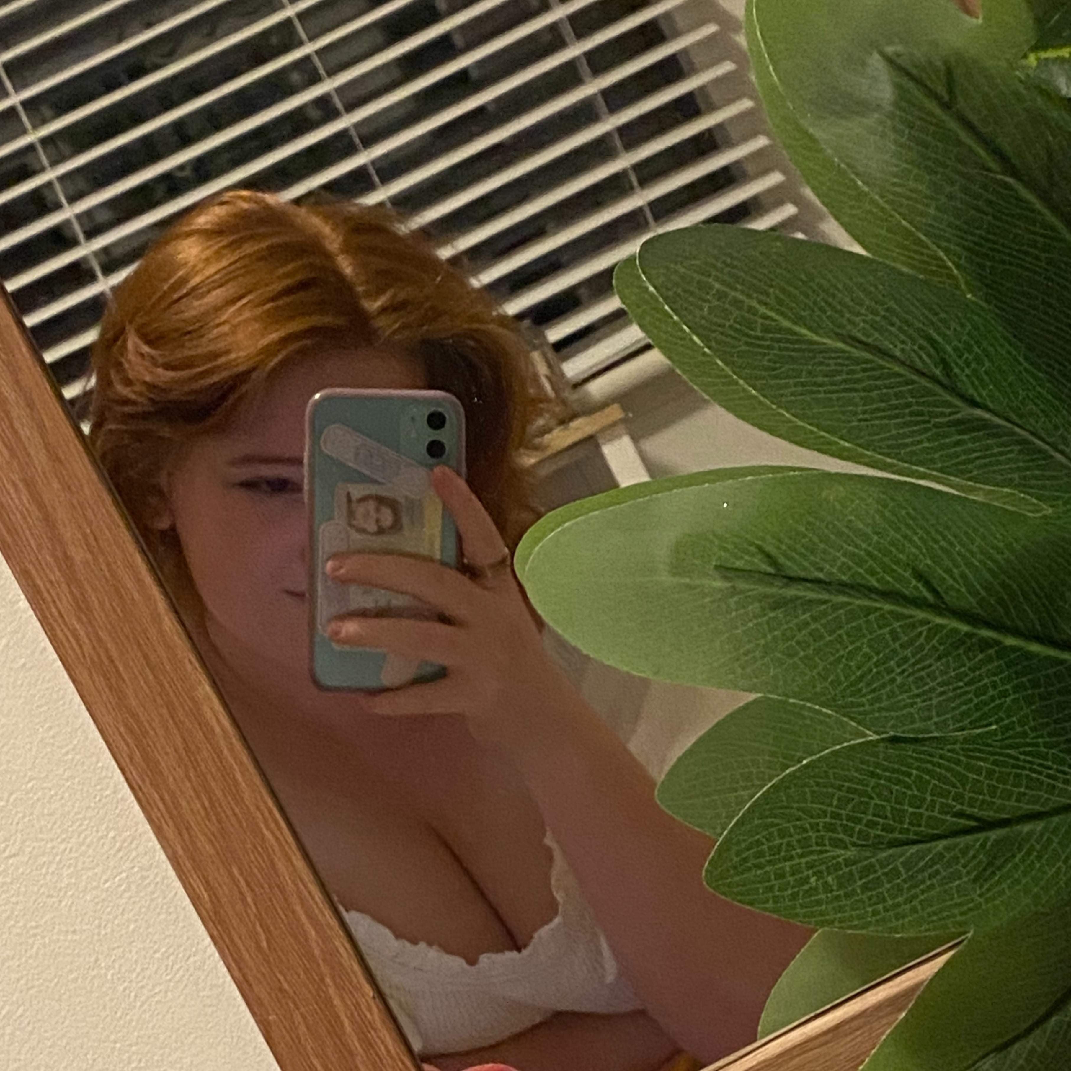 🐝