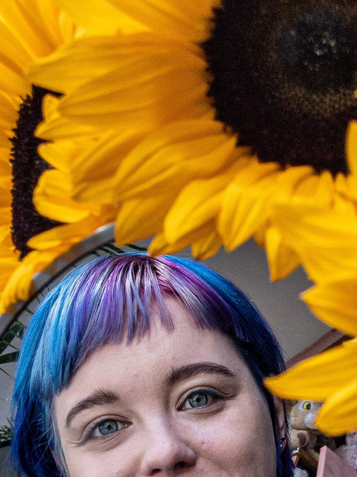 Miahhi