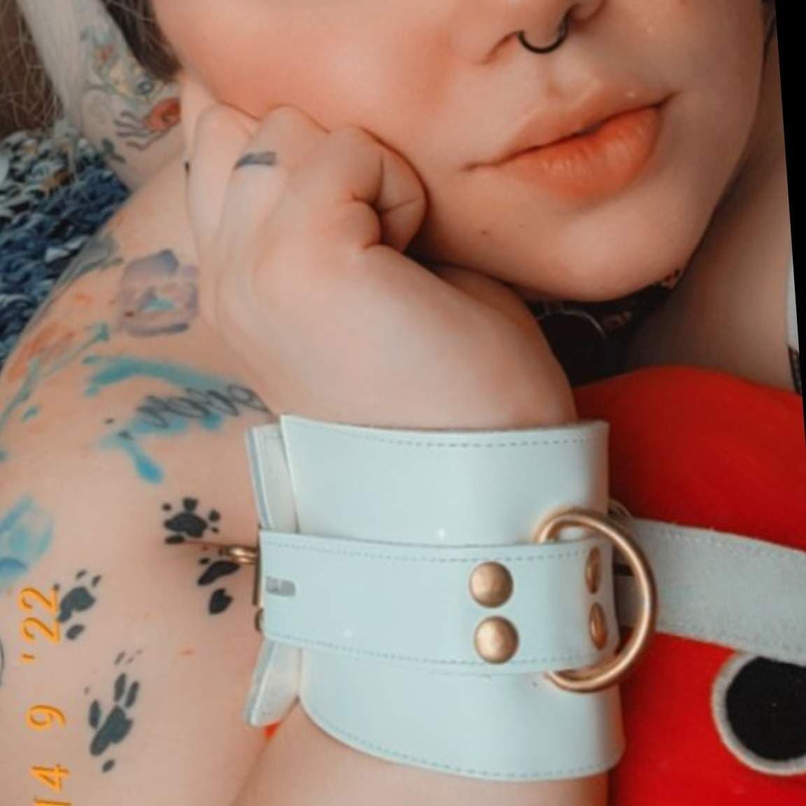 Cedar