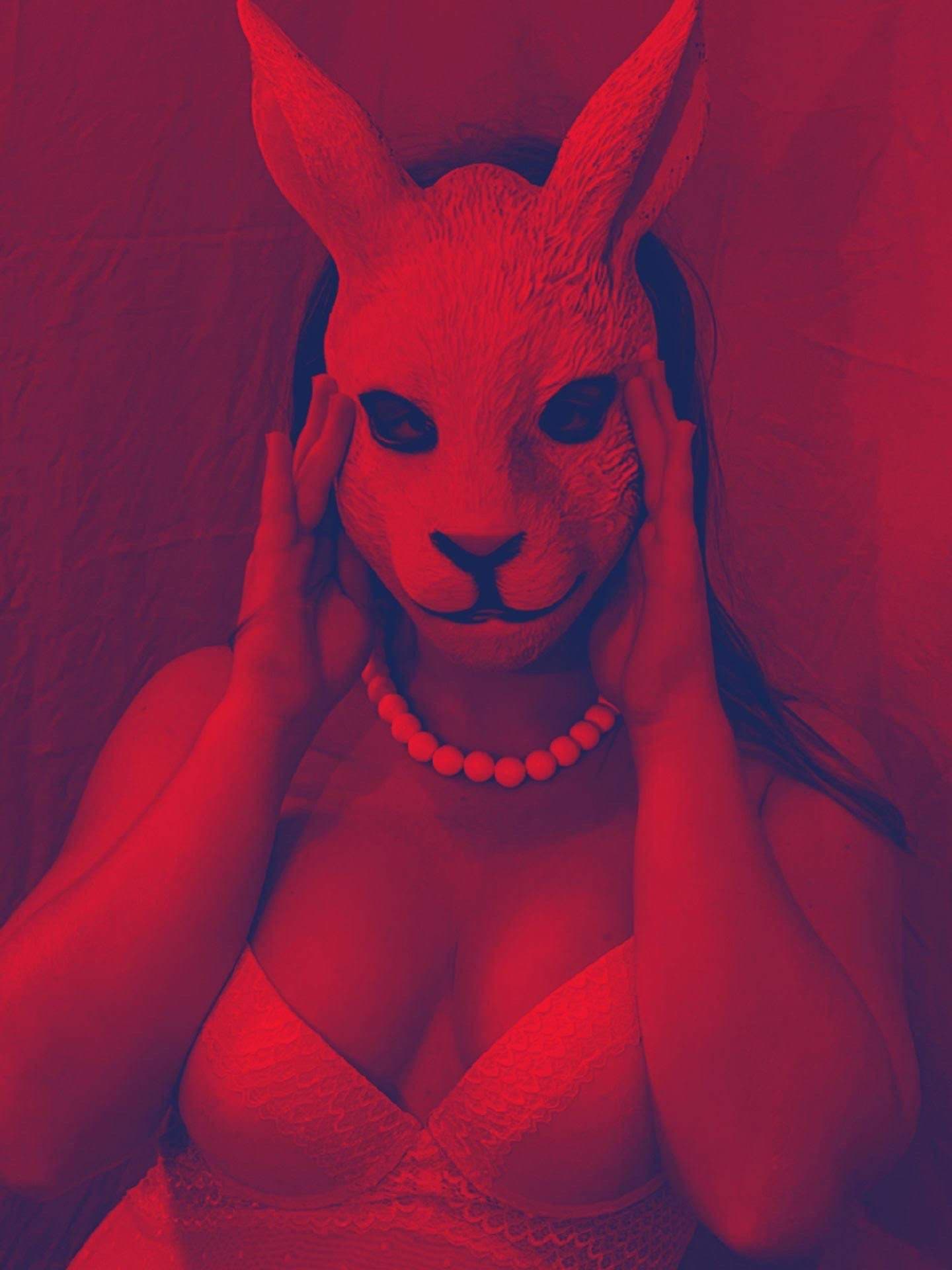 Bad Bad Bunny 🐰