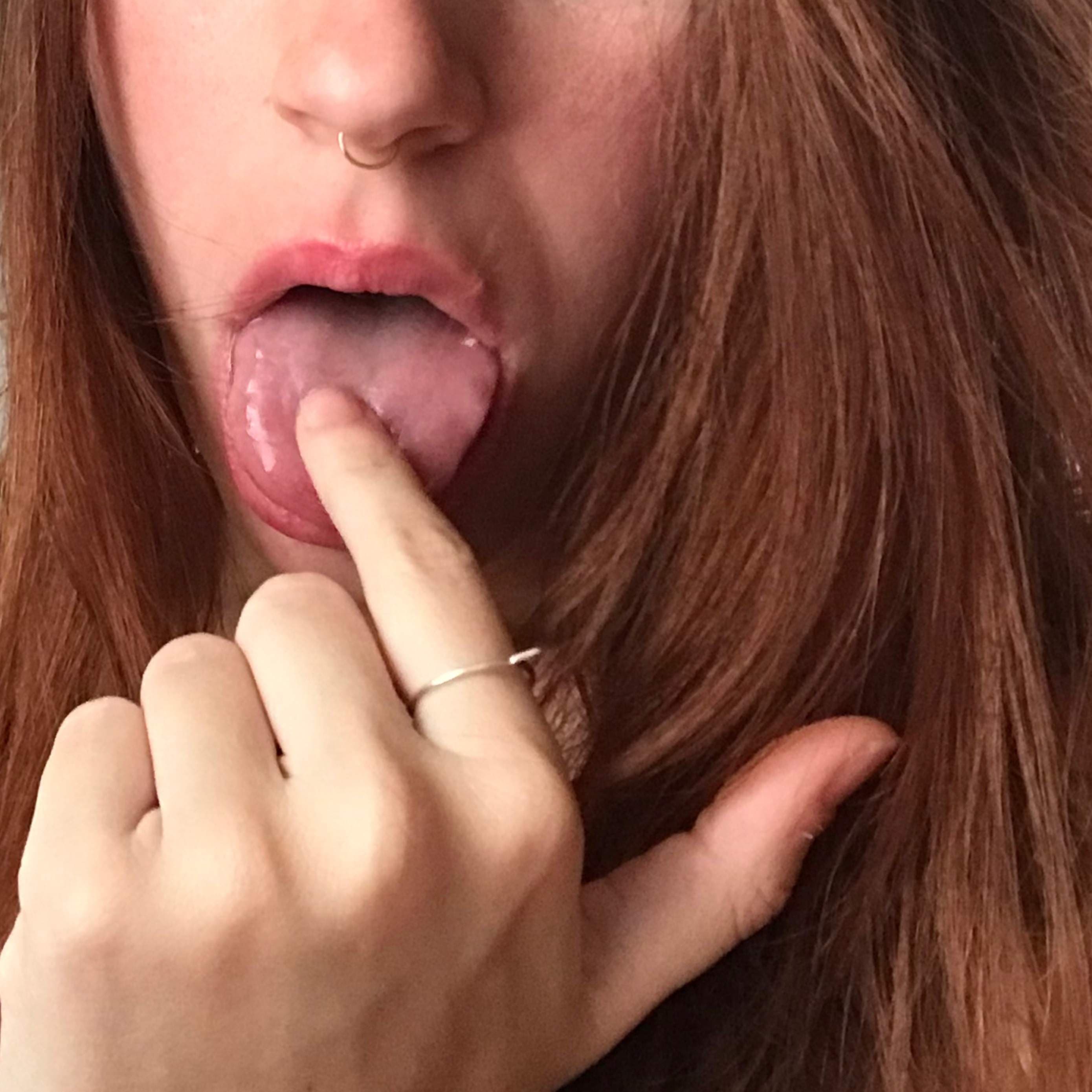 Abri