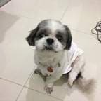 Choo Hung Chi