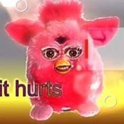 dont feed me after midnite