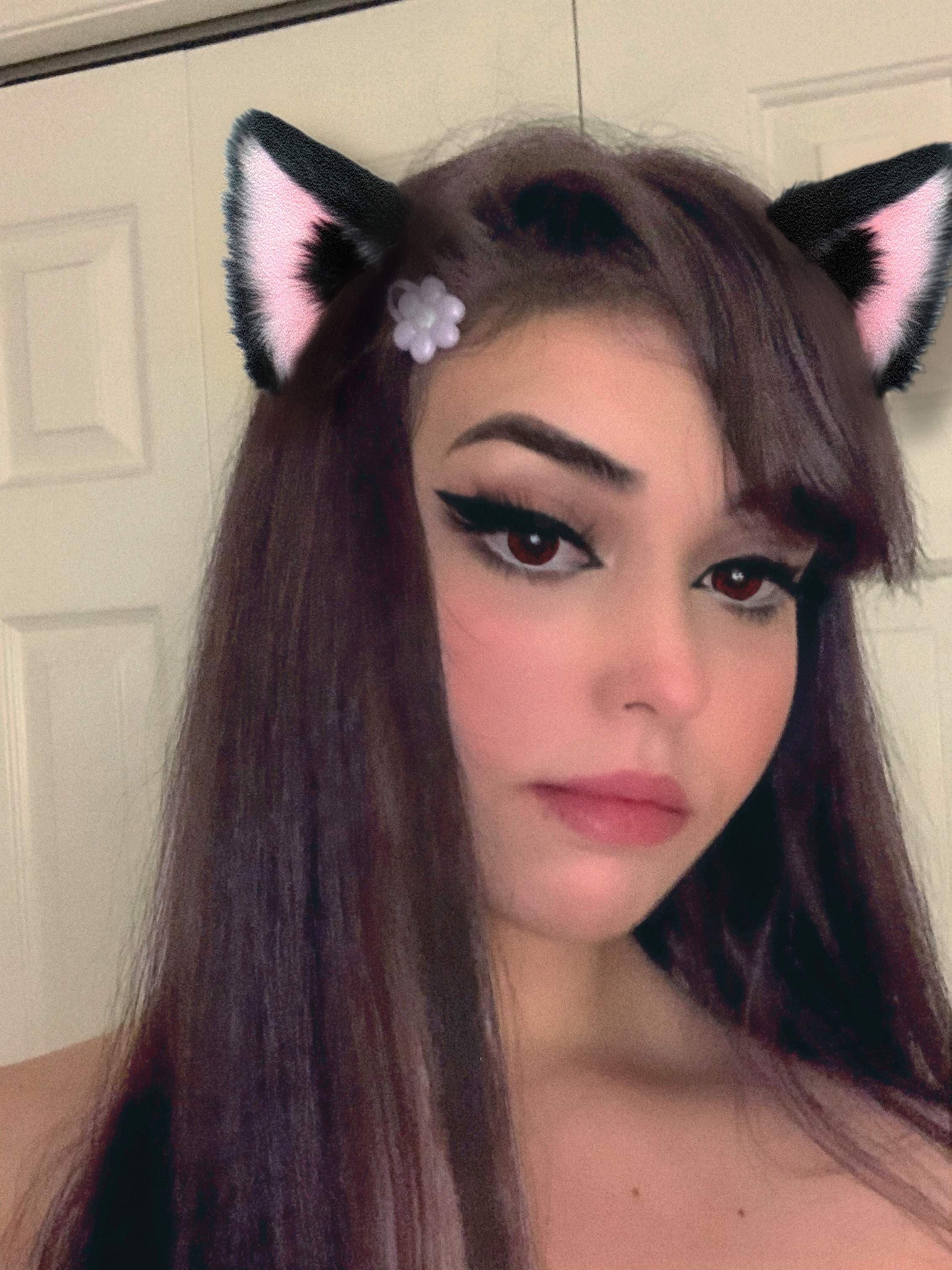 audy