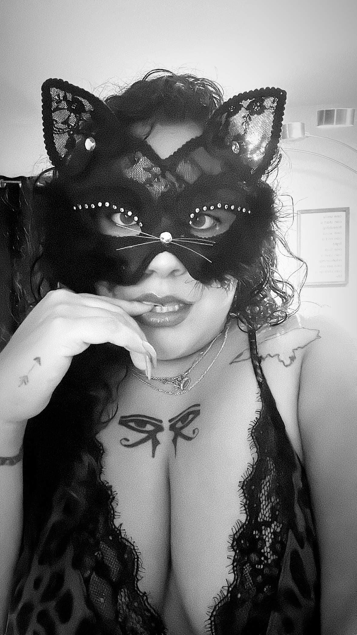 Exotic Kitty 🐱