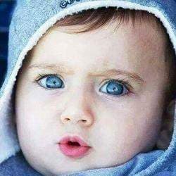 Nader kamal Aly.