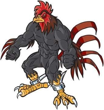 CockDzeal