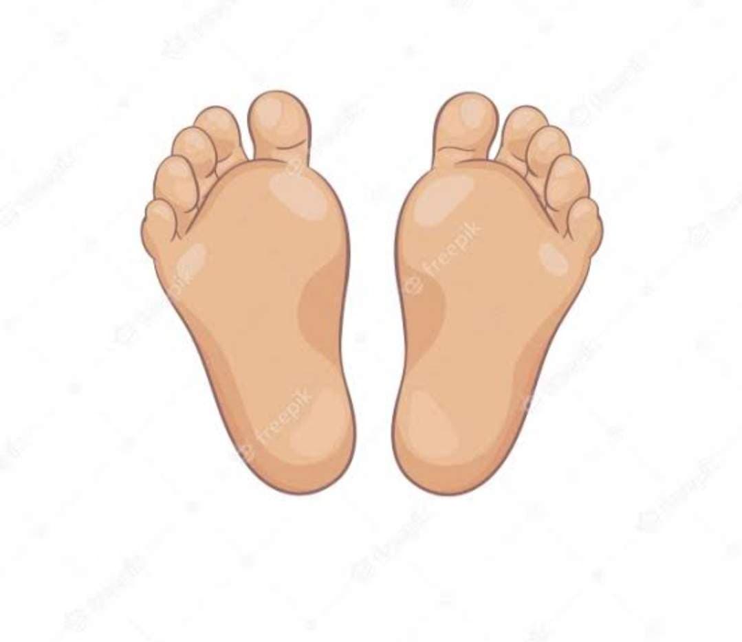 •BJ_feet•