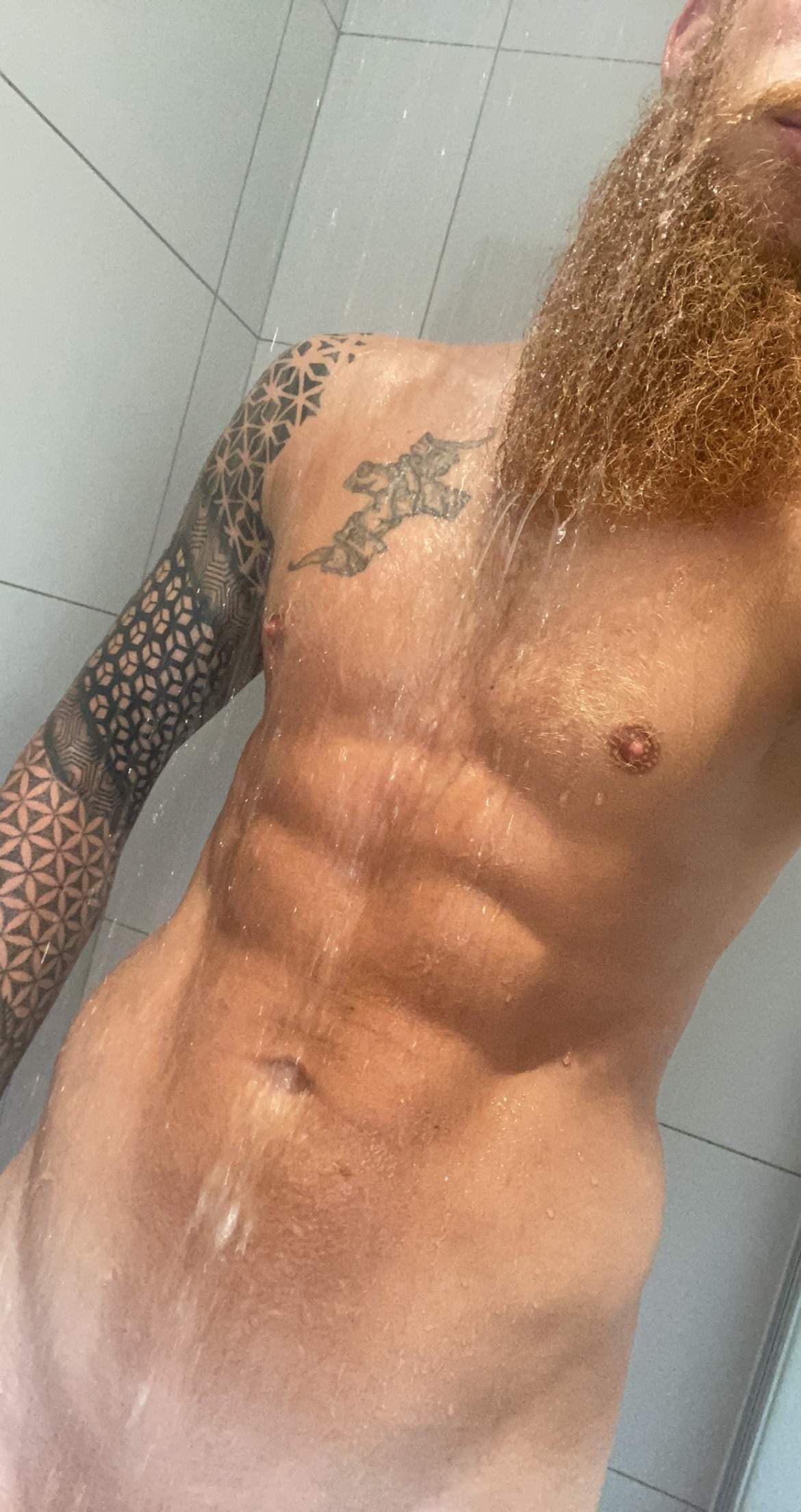Big Horned Viking