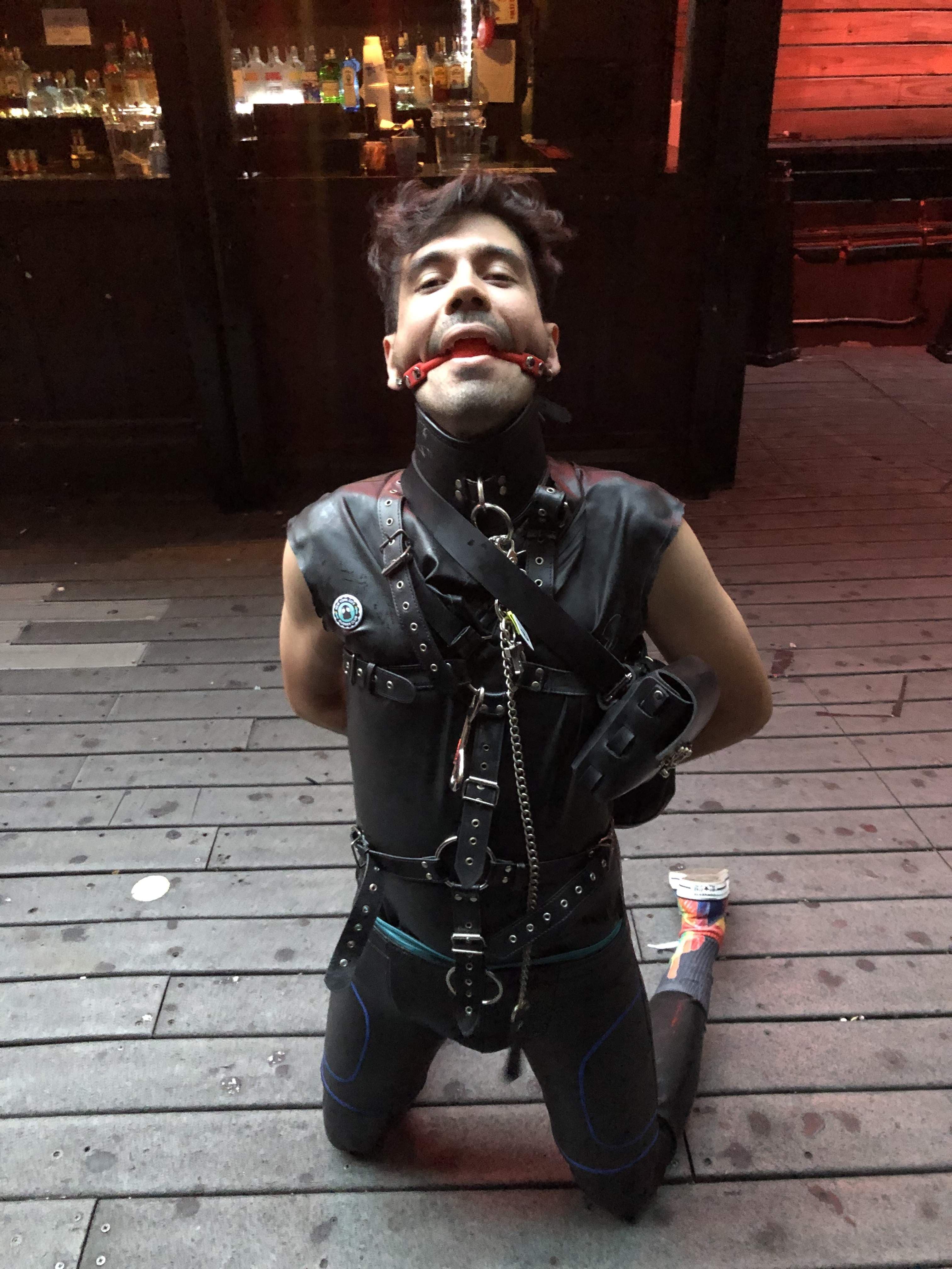 PupTrebleNYC