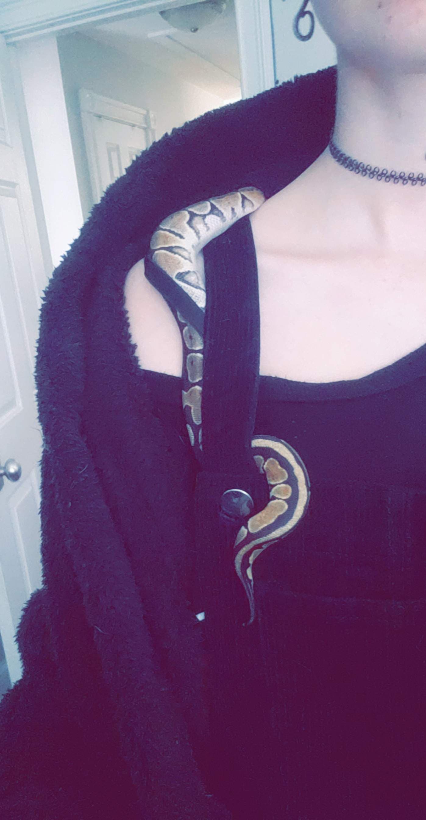 Jupiter Love