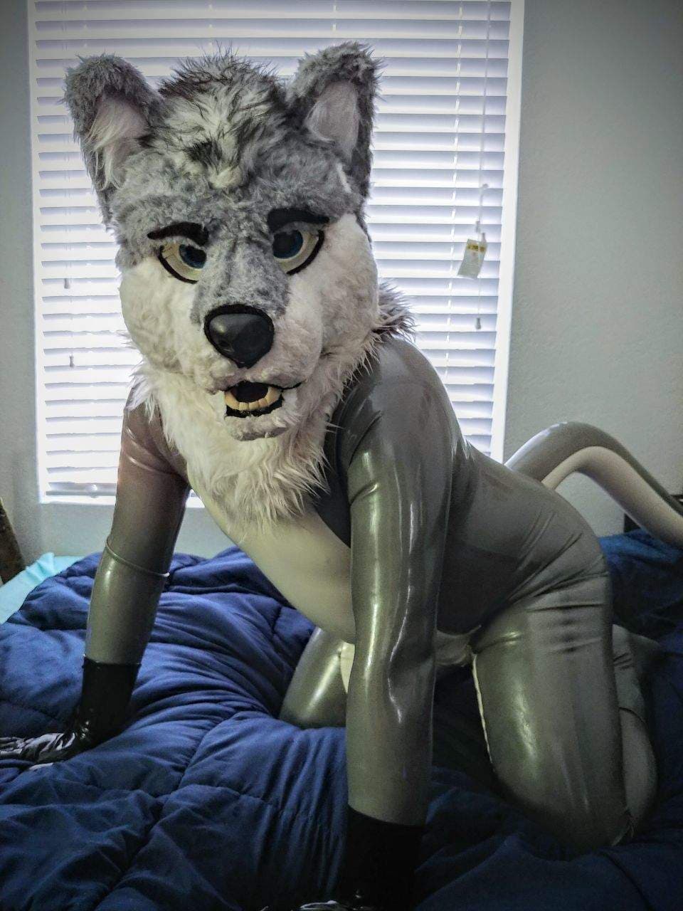 Hotrodwolf