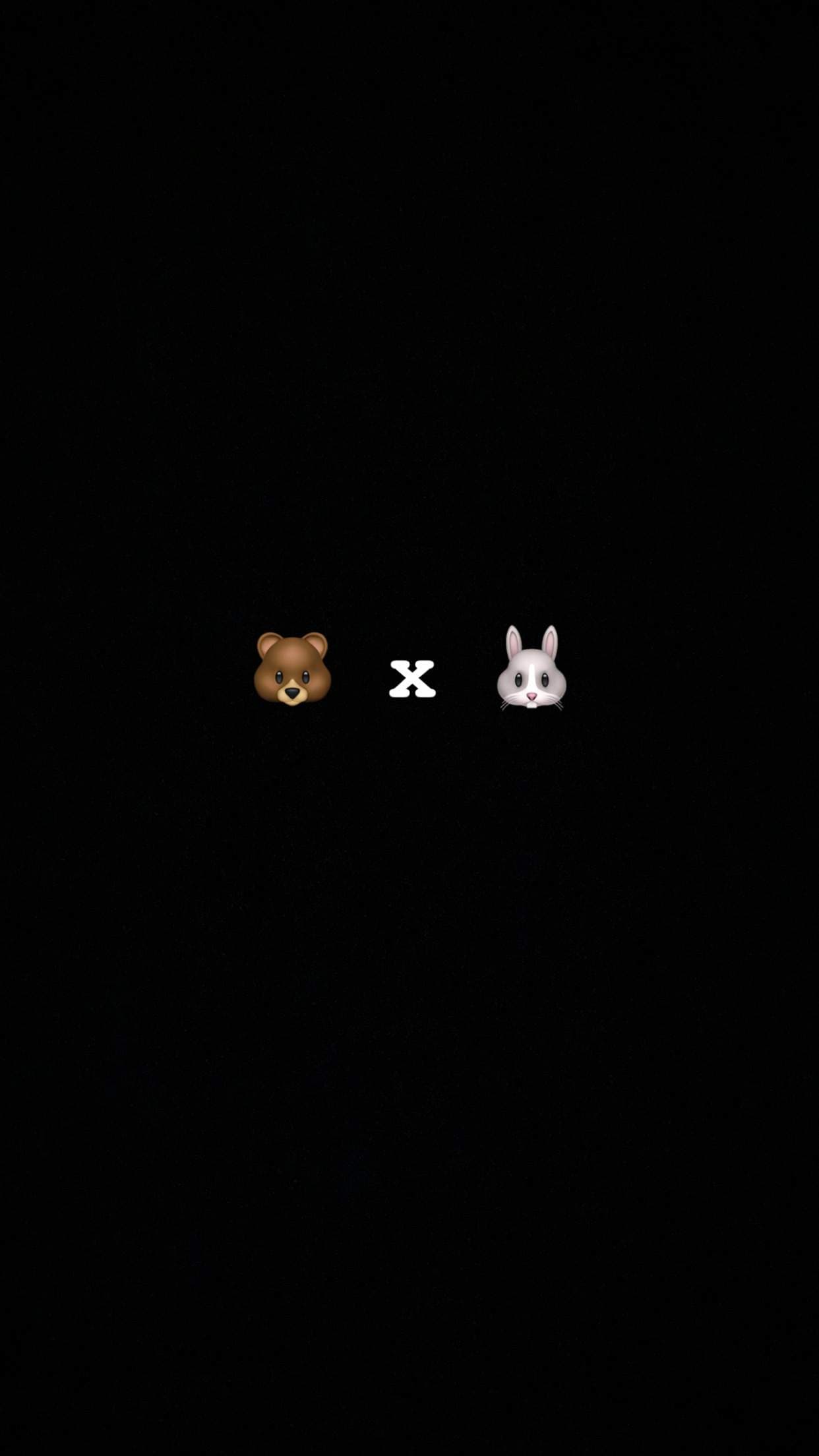 Bear x Bunny