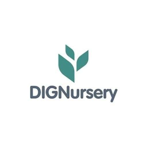 Calathea Care DIG Nursery