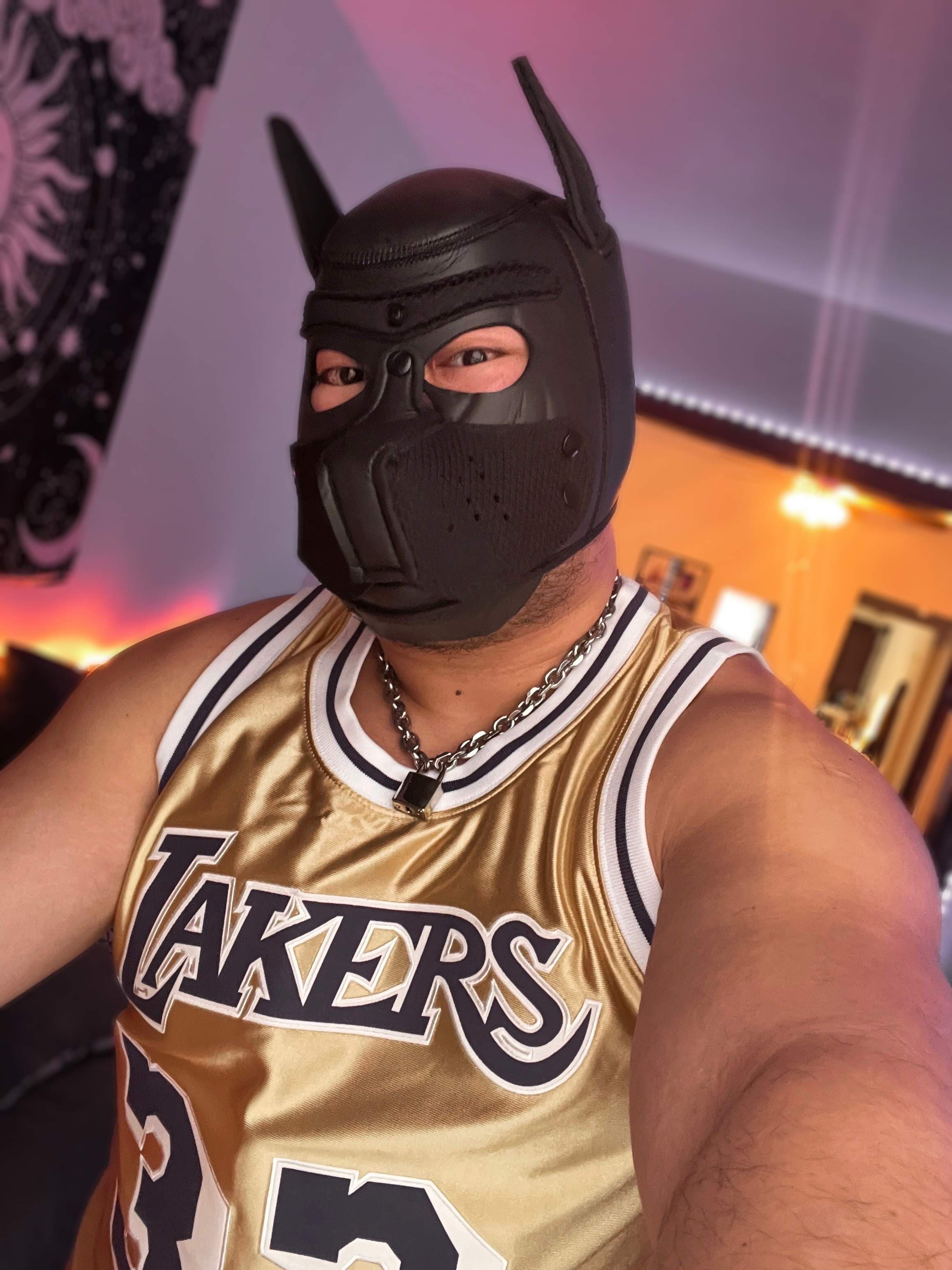Dazzle Cub