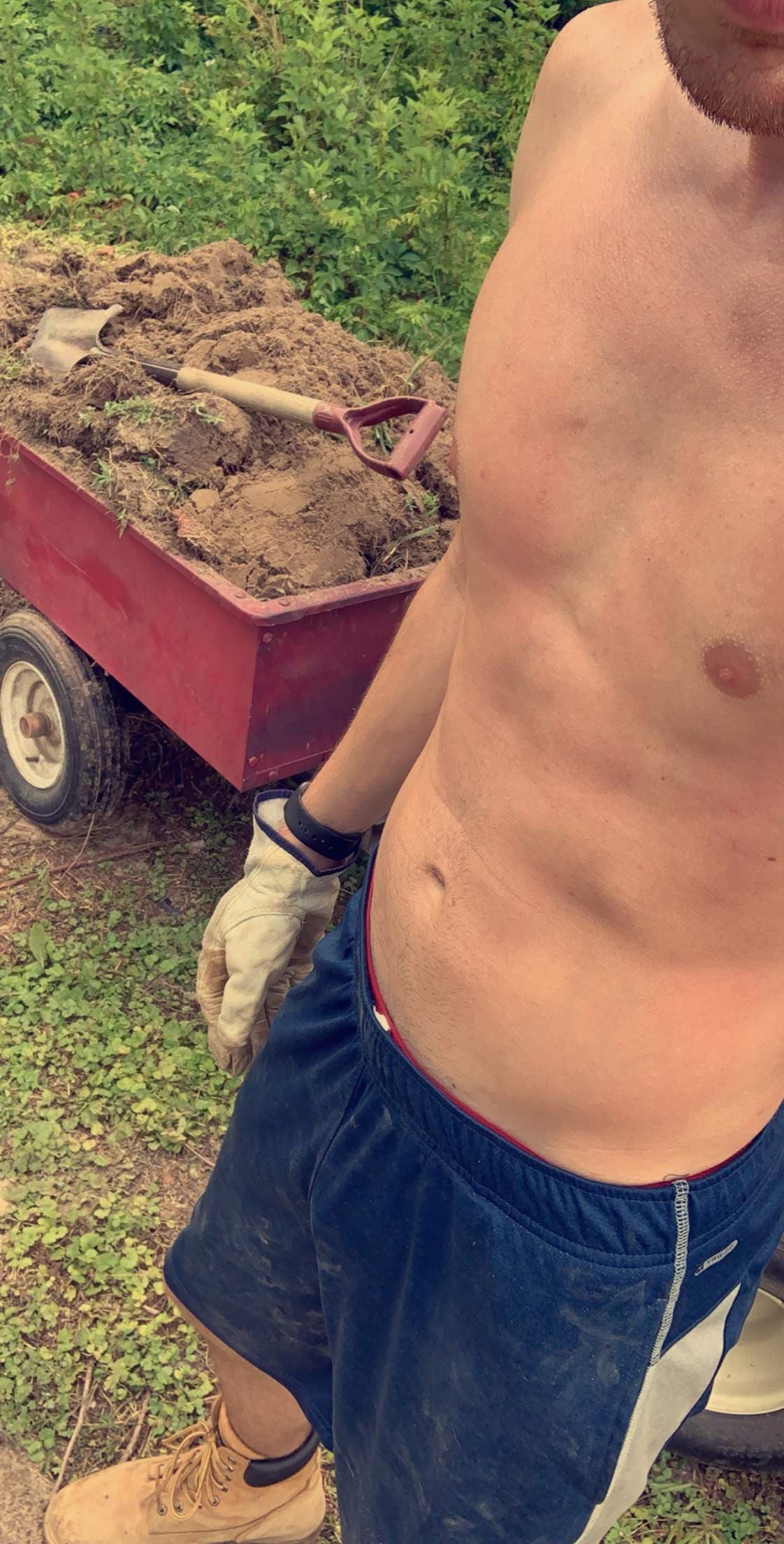 Kole