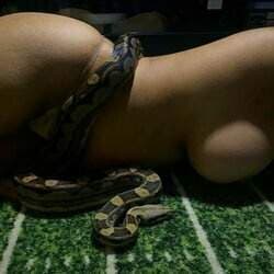 Lone Star Exotic Reptiles
