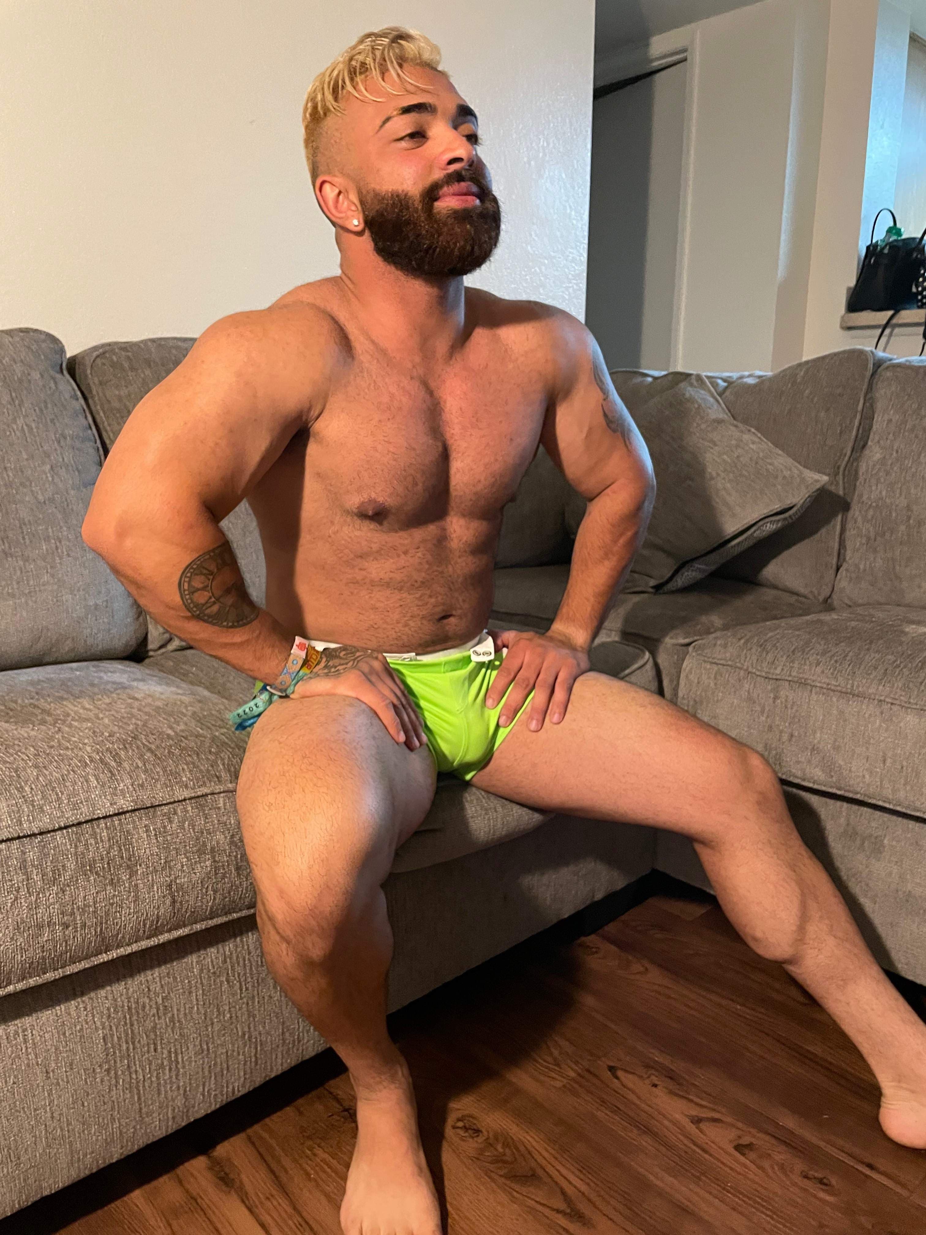 Pitbull