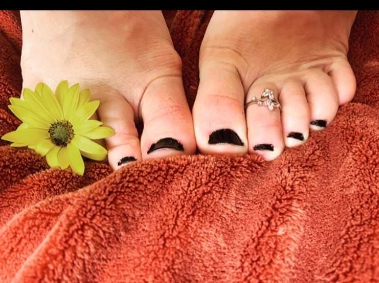 Daisy Summer