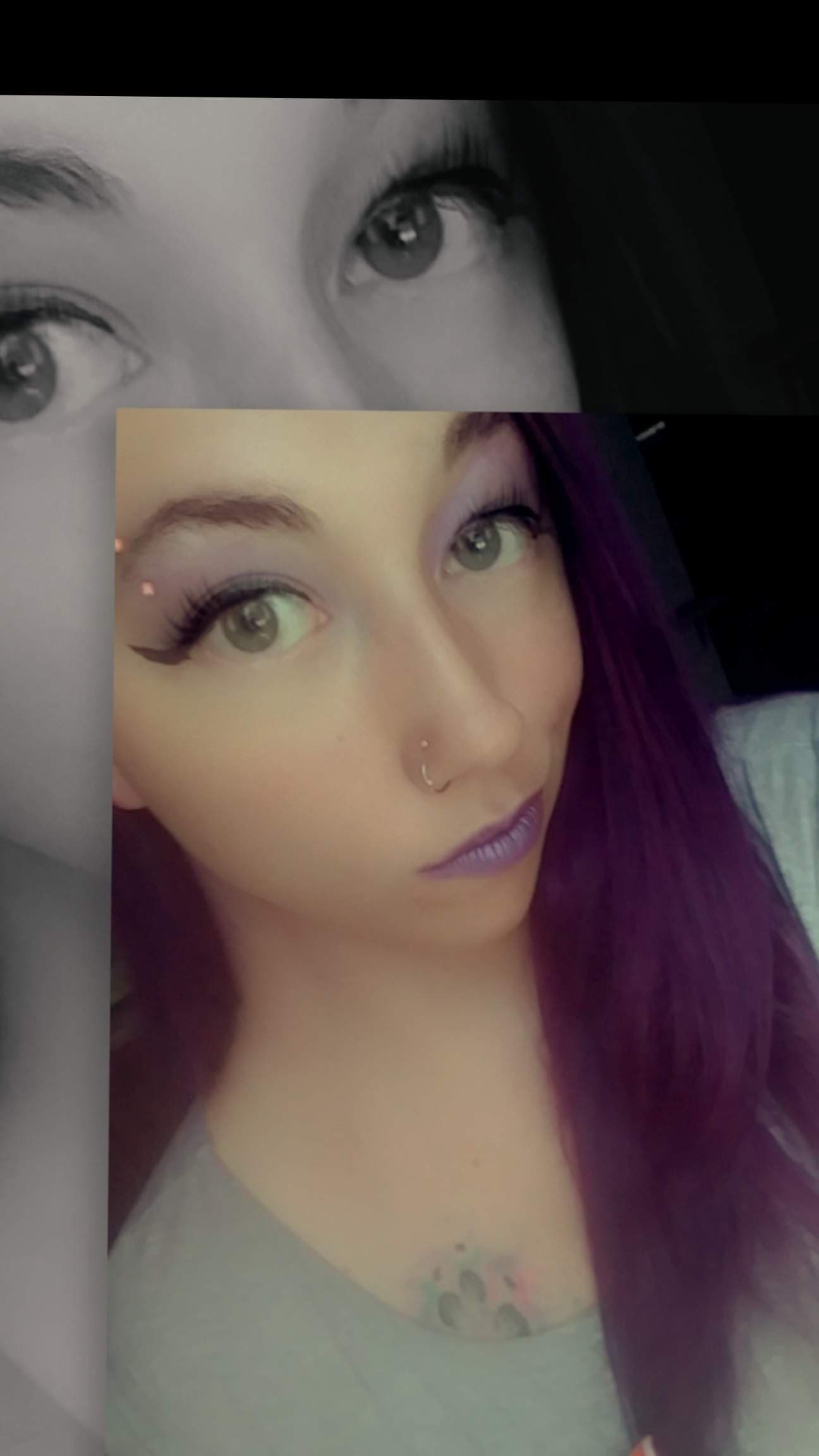 Meow Cat