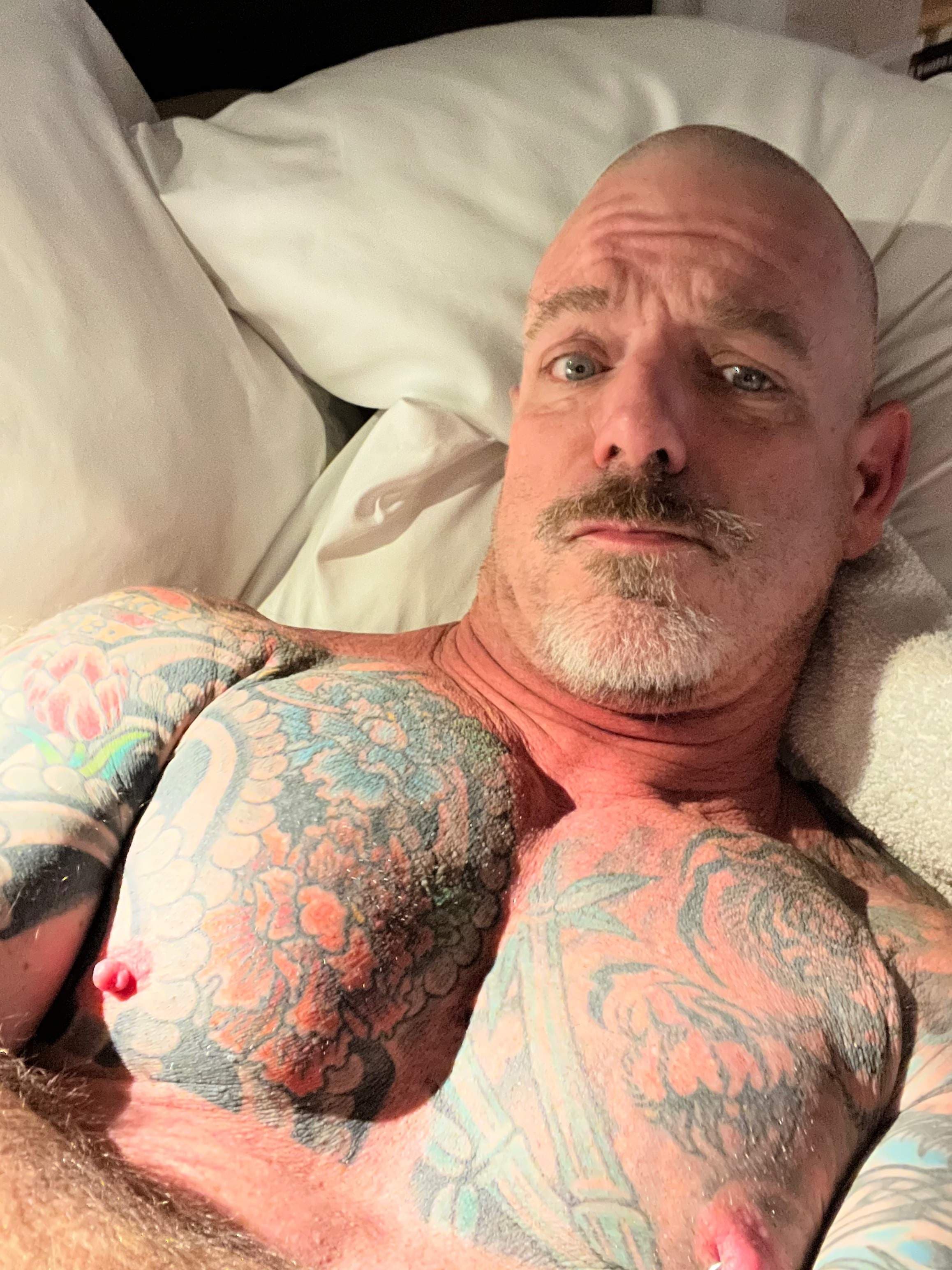 Todd Fellow - Dad Next Door