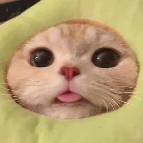 fluff
