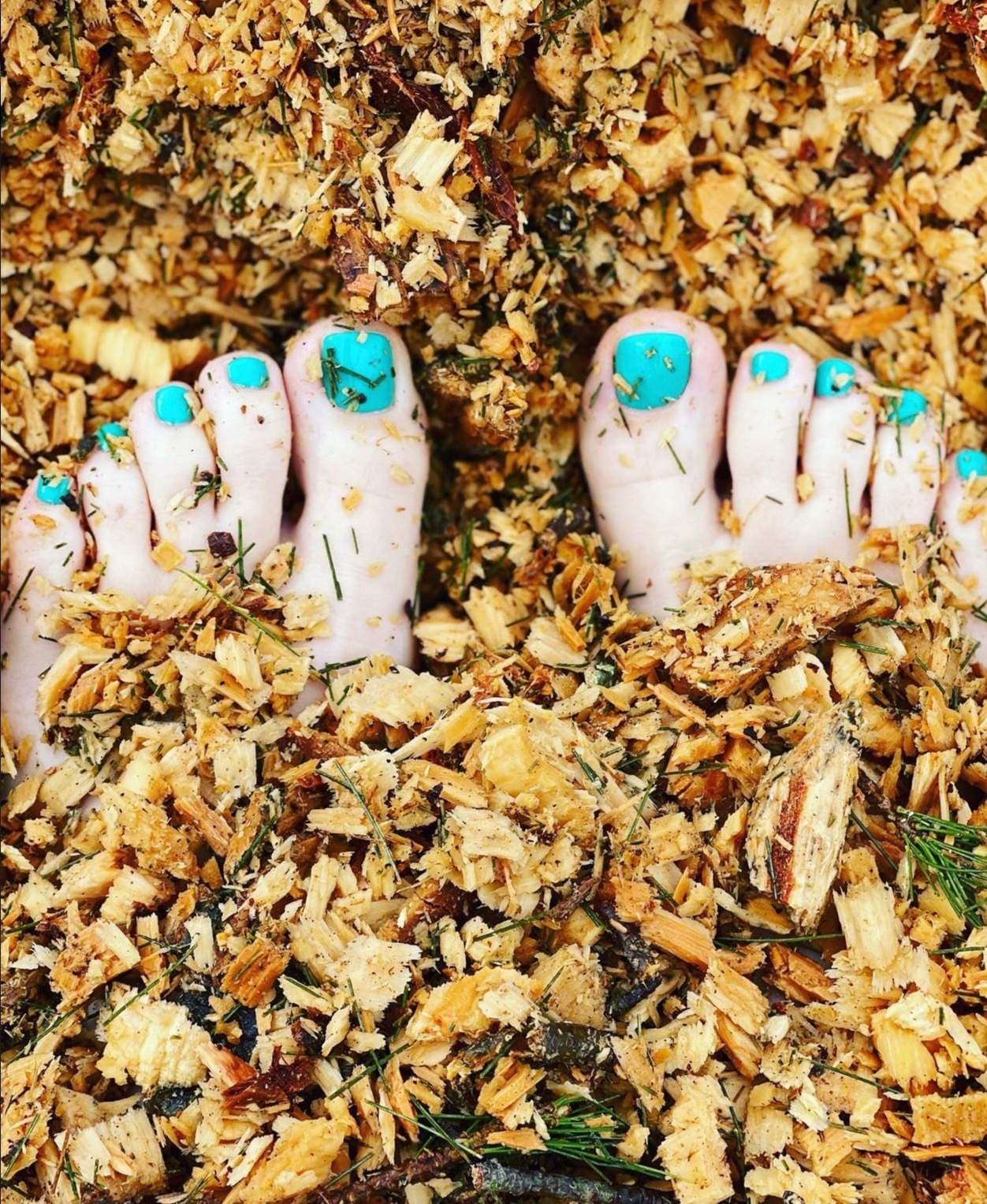 A foot into the wild…among other things.
