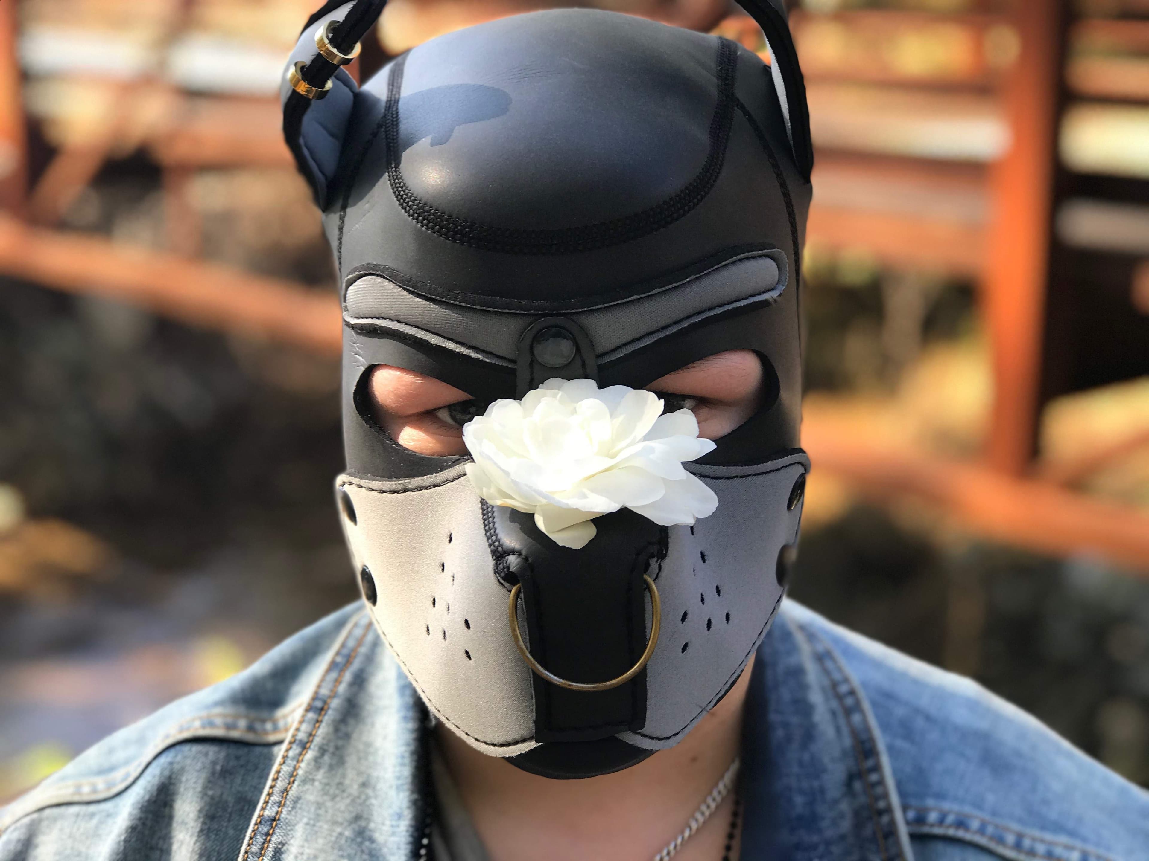 Pup Sarge