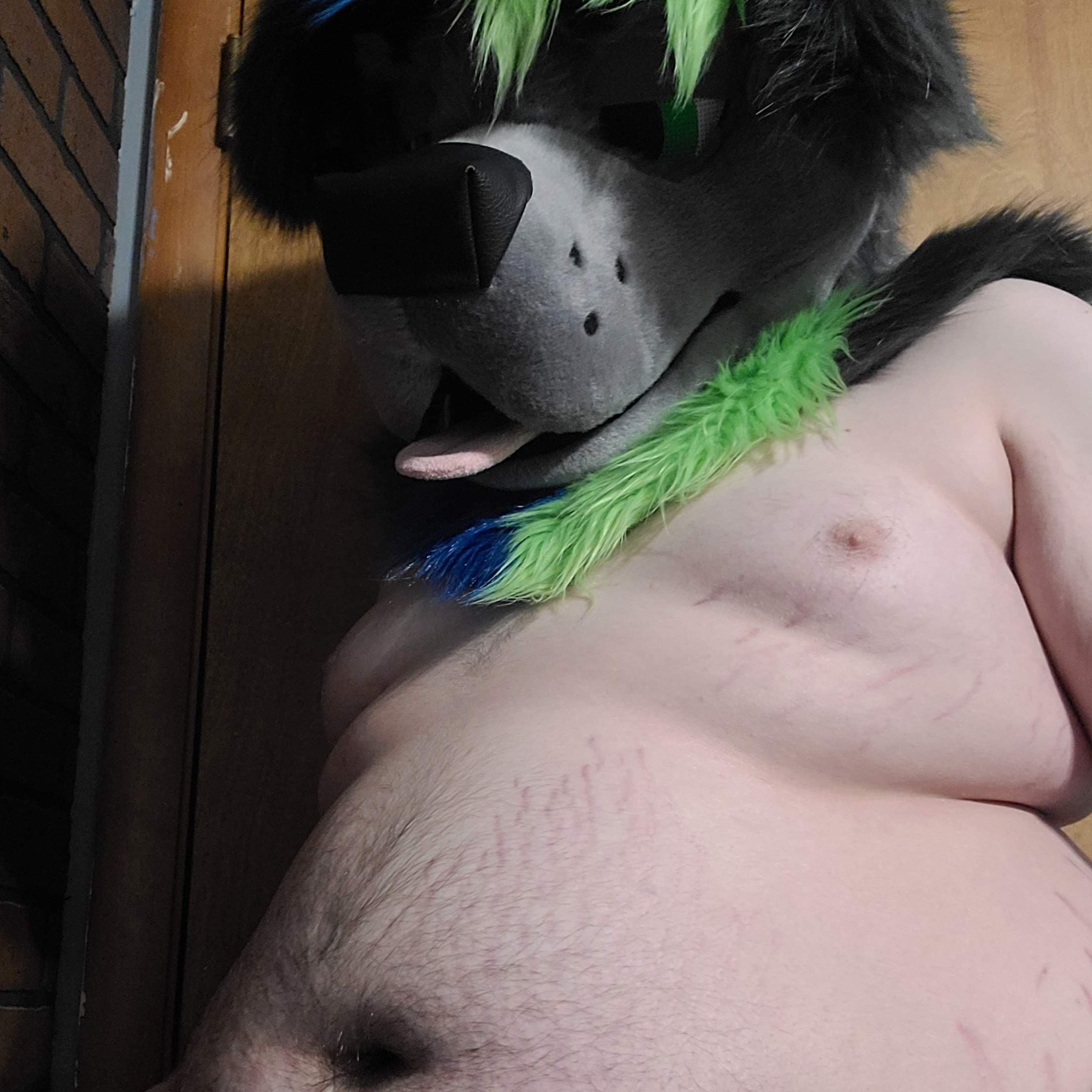 Boof the Fat Puppy! 🐶