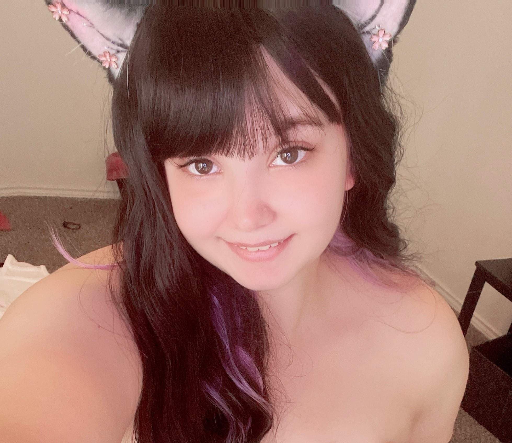 ✨Neko