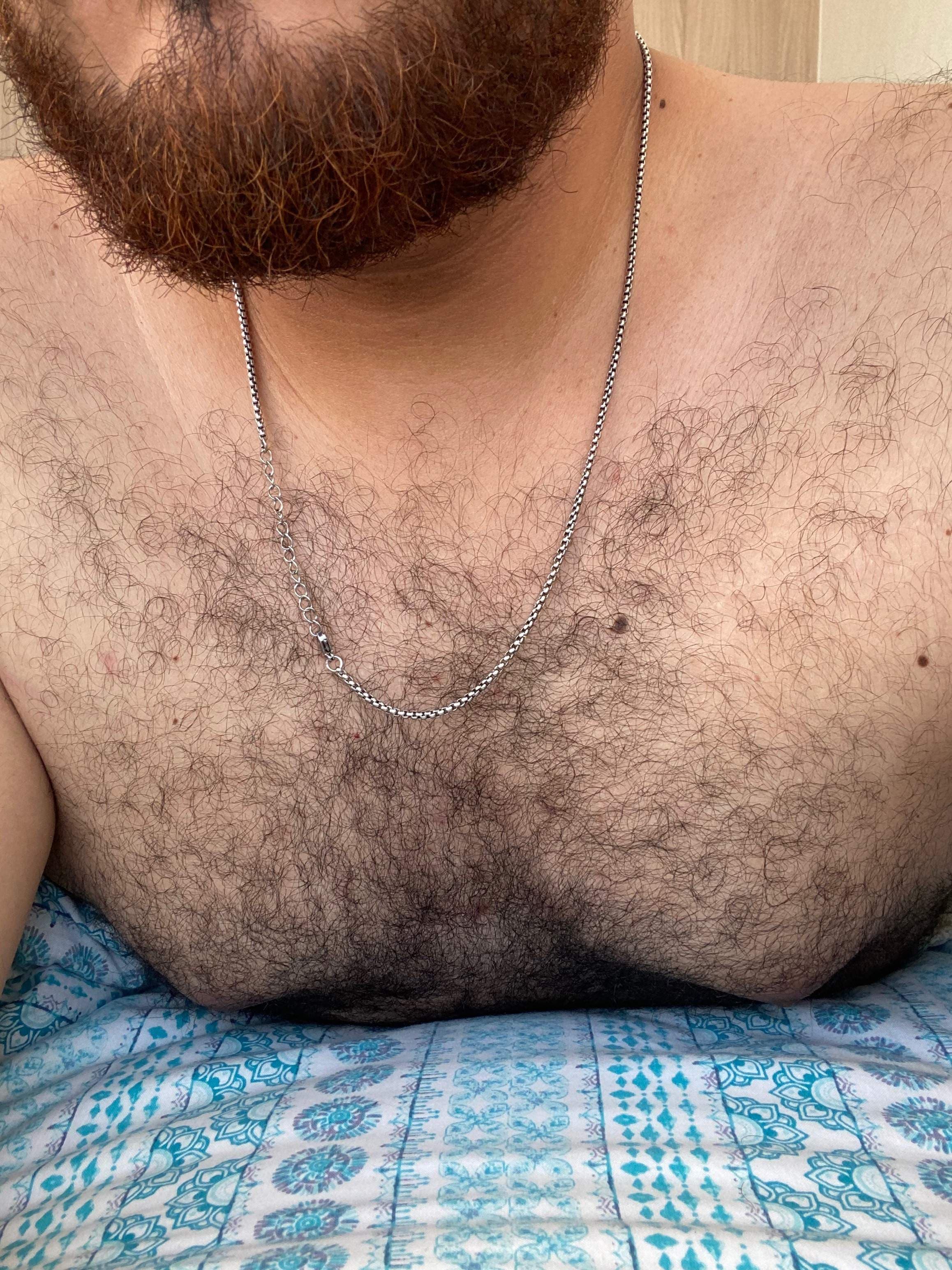 El oso Mike