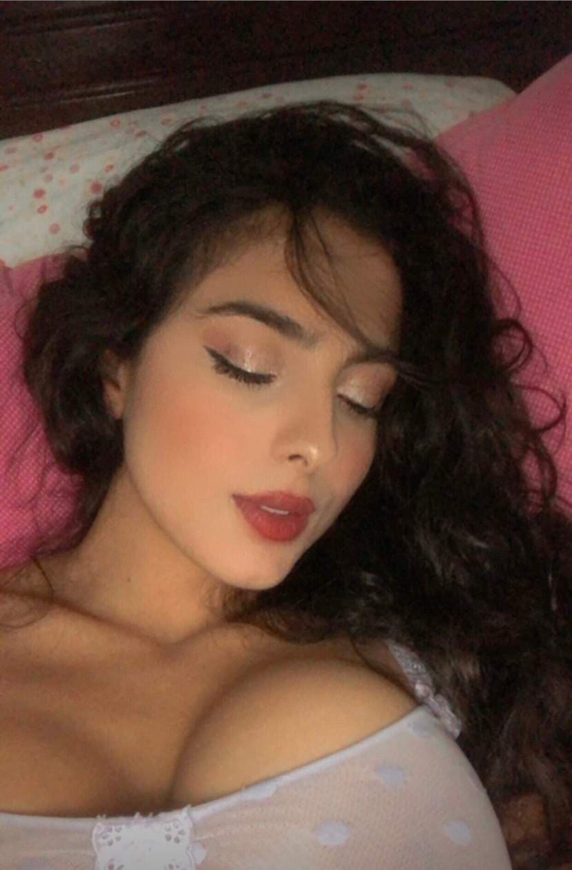Violet rose🌷