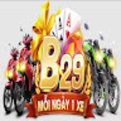 B29 Tips