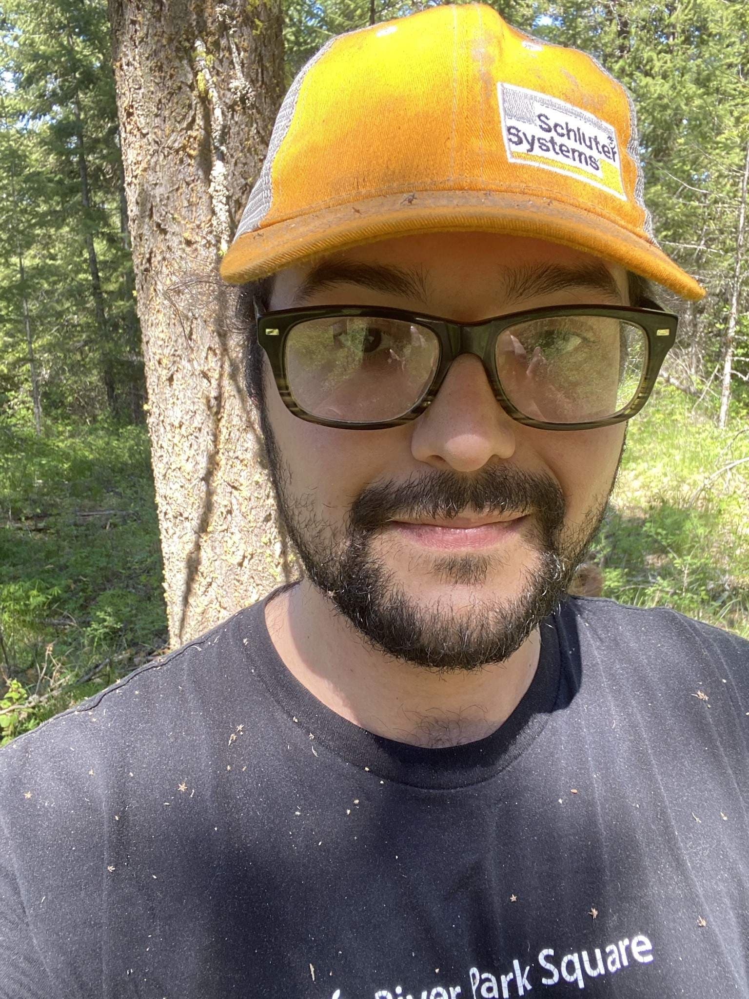 Tree Bear