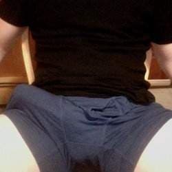 BigDBob